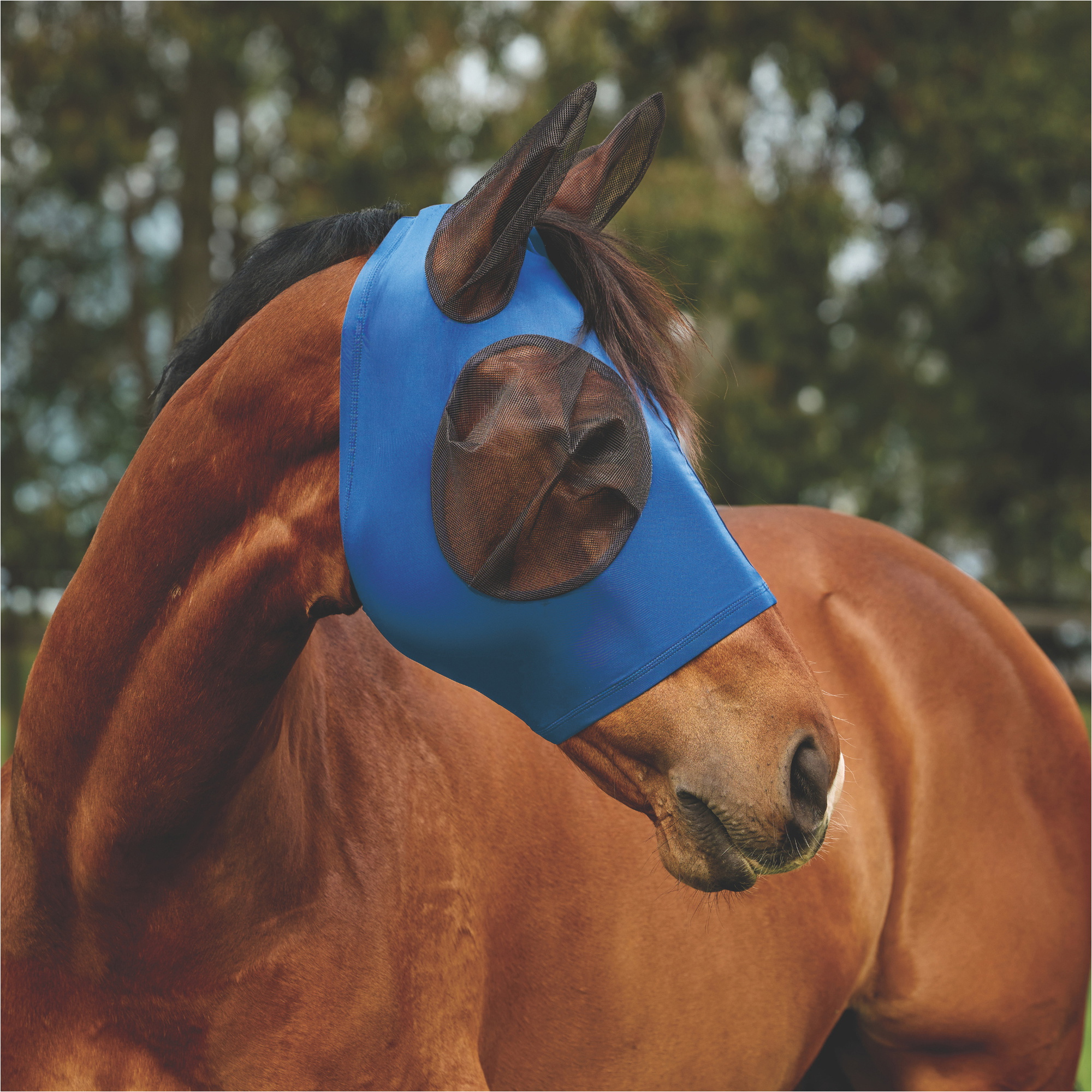 2026 WeatherBeeta Comfitec Deluxe Strecken Fliegen Maske Mit Ohren 1029984 - Kobalt / Black